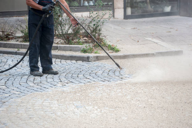 Best Sidewalk and Walkway Cleaning  in Nevada, TX